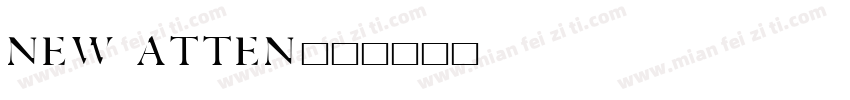 new atten字体转换